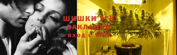 стафф Богданович