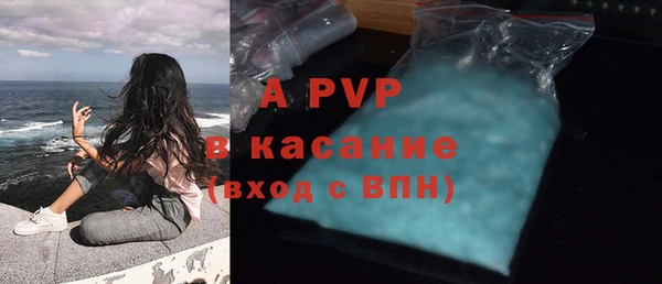 стафф Богданович
