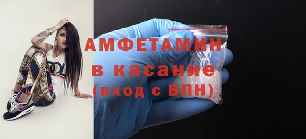 стафф Богданович