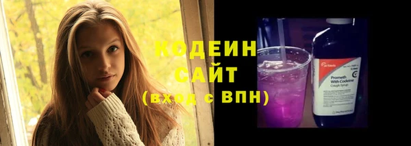 стаф Богородск
