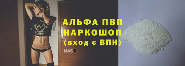 стафф Богданович