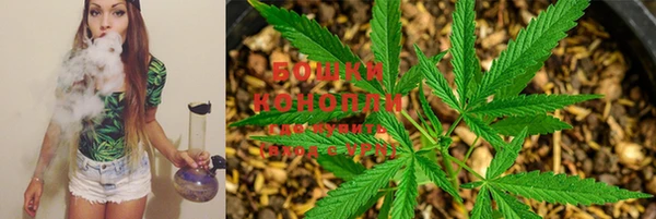 стафф Богданович