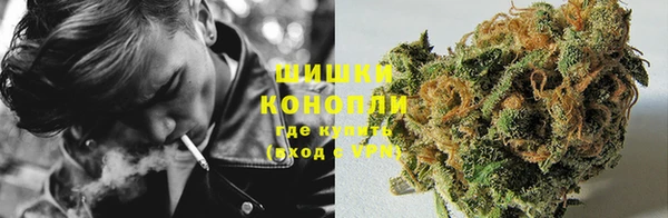 стаф Богородск