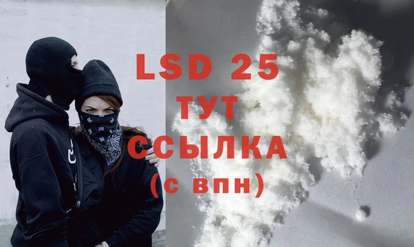 стаф Богородск